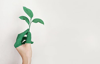 Hand, Minimalism, Paint, Sheet, Leaf HD wallpaper