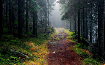 Mountain trail, Outdoor exploration, Majestic peaks, Natural wonder HD wallpaper