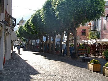 Forio Town Ischia, forio, town, street, trees, ischia, italy HD wallpaper