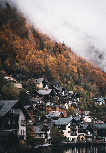 Nature, Houses, Trees, Mountain, Village, Slope HD phone wallpaper