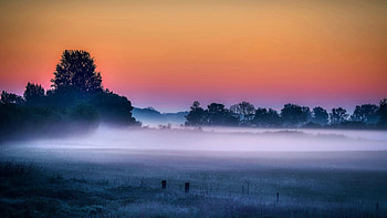 Misty morning in Northern Germany, trees, clouds, colors, germany, landscape, sky HD wallpaper