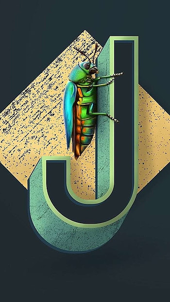 J Name, Insect, Design HD phone wallpaper