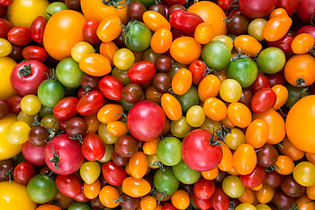 Food, Tomatoes, Variety HD wallpaper