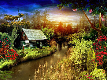 Isolation Within Nature, sunset, river, r, cottage, nature, graph, flowers HD wallpaper