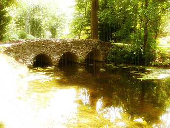 Bridge, river, gardens, woods, fantasy, dow gardens HD wallpaper