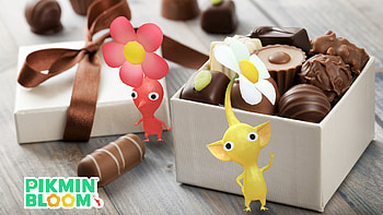 Pikmin Bloom: Chocolate Box, Pikmin HD wallpaper