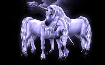 Fantasy unicorn , Whimsical world, Magical journeys, Stunning visuals HD wallpaper