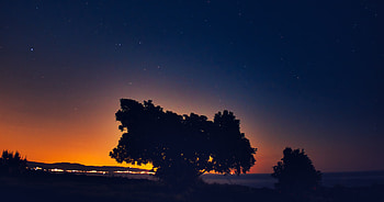 Landscape, tree, silhouette, sunset HD wallpaper