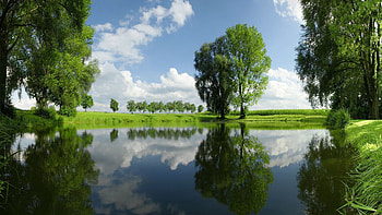 Nature, Trees, Summer, Lake HD wallpaper