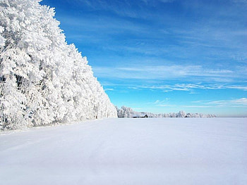 The White Wall, winter, trees, sky, snow HD wallpaper