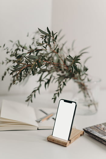 A sleek smart with a blank screen on a wooden stand, styled with a decorative plant and open notebook. HD phone wallpaper