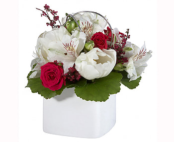bouquet, white, gracefully, graphy, roses, beautiful, gently, still life, flower, red, cool, flowers, , nice harmony HD wallpaper