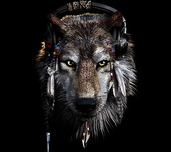 Dark Wolf HD wallpaper
