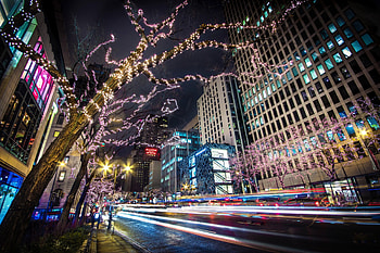 City Lights, merry christmas, architecture, city, colors, xmas, buildings, lights, christmas, road, magic christmas, splendor, christmas lights HD wallpaper