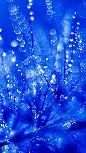 Blue Colour, Blue Colour Design HD phone wallpaper