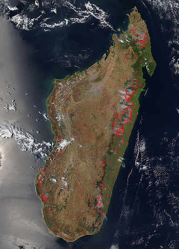 Madagascar Wildfires, Environmental Concerns, Ecological Impact, NASA Observation HD phone wallpaper