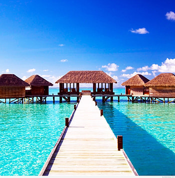 Summer backgrounds and 2015 2016 HD phone wallpaper