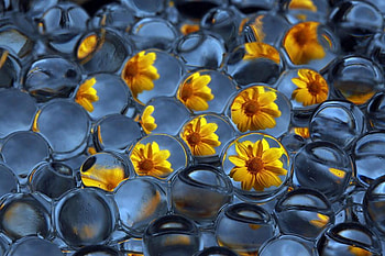 FLOWERS IN A BUBBLE, blue, yellow, incasted, flowers, bubble HD wallpaper