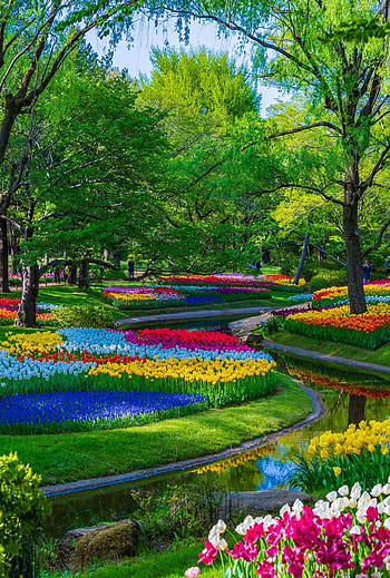 ivanka kostova on Jardim. Most beautiful gardens, Beautiful gardens, Beautiful flowers garden, Amazing Garden HD phone wallpaper