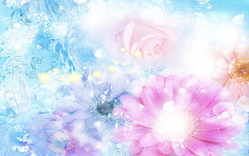 Abstract, Flowers, Background, Pink, Blurred, Fuzzy, Effects HD wallpaper