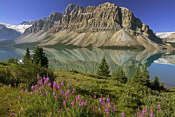 Bow lake and flowers, nature, flowers, reflection, lake HD wallpaper