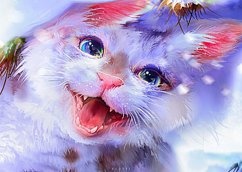 Nova, blue, charline k, flutti, white, frumusete, gorgeous, cute, cat, superb, pink, pisici, fantasy, face, luminos HD wallpaper