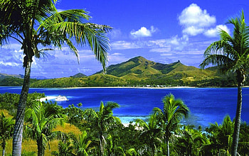 SUMMER CRUISING, sea, cruise, Passenger Ships, mountains, Palm, River, beach HD wallpaper