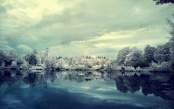 Winter, Nature, Trees, Snow, Lake, Reflection, Shore, Bank, Frost, Hoarfrost, Cold, Mirror HD wallpaper