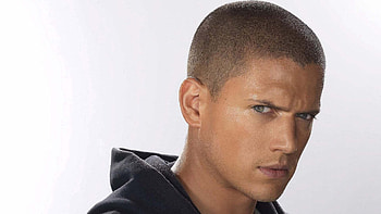 Wentworth Miller, , , Backgrounds HD wallpaper