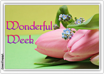 WONDERFUL WEEK, COMMENT, WEEK, CARD, WONDERFUL HD wallpaper