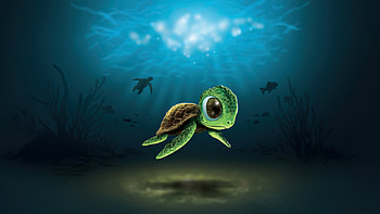 Cute Turtle Duality, turtle, artwork, art, digital-art, artist, artstation HD wallpaper