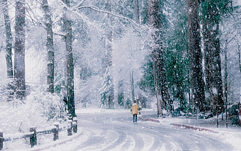 Nature, Art, Snow, Park, Stroll, Human, Person, Painting, Back HD wallpaper