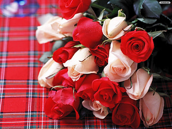 bouquet of roses, branch, table, roses, love HD wallpaper