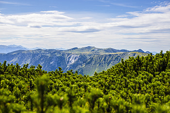 Landscape, Nature, Mountains, Bush HD wallpaper