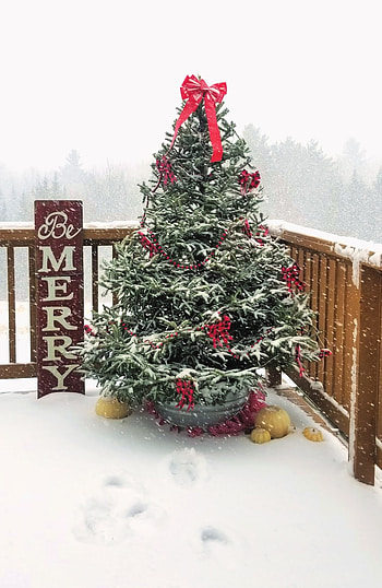 Snowy Xmas tree bg, holidays, background, snow, winter, merry Christmas, christmas, Christmas tree HD phone wallpaper