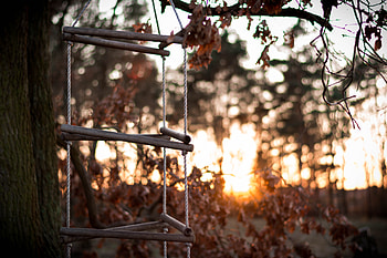 Sunset, Autumn, Miscellanea, Miscellaneous, Ropes, Cordage, Wood, Tree, Stairs, Ladder HD wallpaper