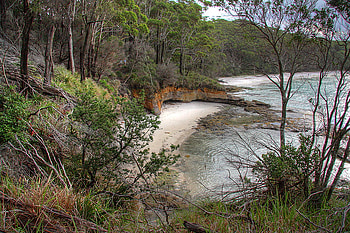 Gorgeous Haven, river, trees, grass, calm, forest, beach HD wallpaper