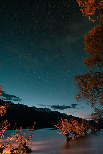 Nature, Trees, Mountains, Twilight, Lake, Starry Sky, Dusk HD phone wallpaper