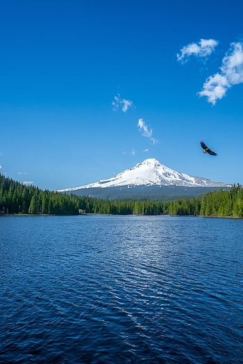 Nature, Sky, Horizon, Mountain, Lake, Bird HD phone wallpaper