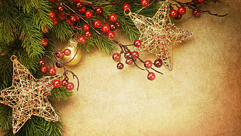 Christmas joy, Festive vibes, Heartwarming celebrations, Joyous occasions HD wallpaper