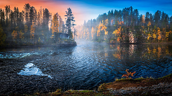 Nature Water Trees Fall Landscape, nature, trees, landscape HD wallpaper