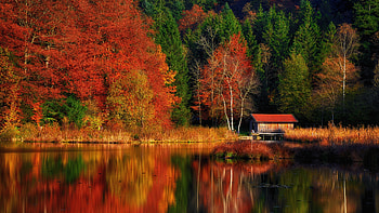 Lake House, trees, water, house, lake HD wallpaper