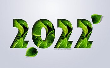 2022 New Year, green leaves, 2022 eco background, 2022 Year, 2022 concepts, Happy New Year 2022, 2022 green leaves background HD wallpaper