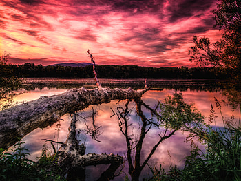 Nature, Trees, Sunset, Lake, r HD wallpaper