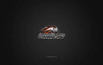 Canberra Cavalry, Austrian baseball club, ABL, orange logo, gray carbon fiber background, Australian Baseball League, baseball, Canberra, Australia, Canberra Cavalry Sox logo HD wallpaper