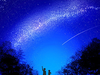 A Starry Night, night, meiko, trees, sky, kaito, stars, vocaloid, lovers HD wallpaper