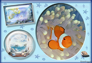 CUTE FISH, FISH, CUTE, FRAMED HD wallpaper