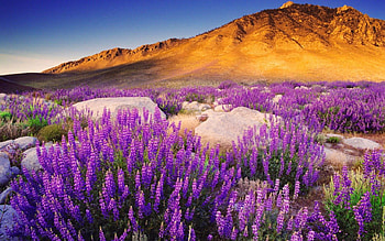 California scenery, blue, colorful, nice, scenery, America, golden, hills, beautiful, rocks, stones, mountain, summer, purple, cliffs, pretty, nature, sky, lovely, California HD wallpaper