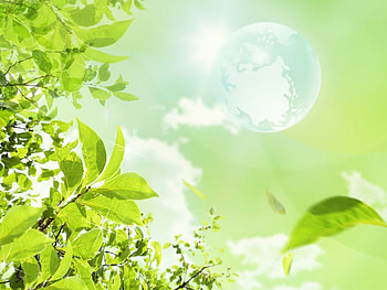 Globe and trees, leaves, nature, globe, green HD wallpaper