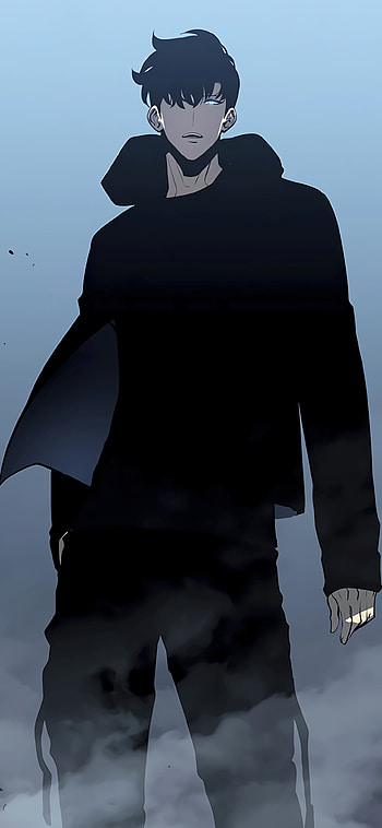 Sung Jin-Woo’s Shadow: Solo Leveling Anime , Sung Jin-Woo, Anime, Solo Leveling HD phone wallpaper